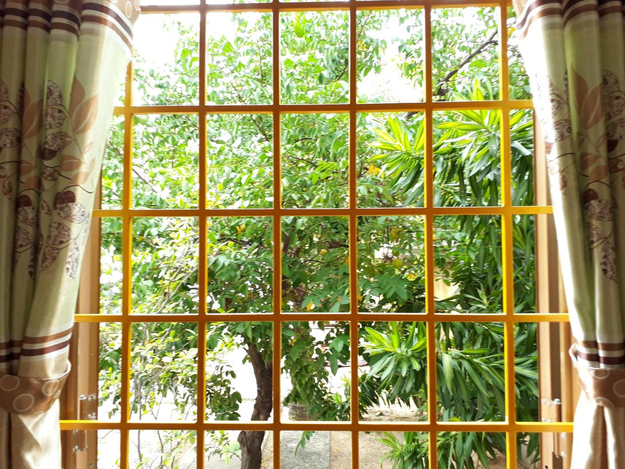 Ngoc Sang Guesthouse ムイネー 部屋 写真